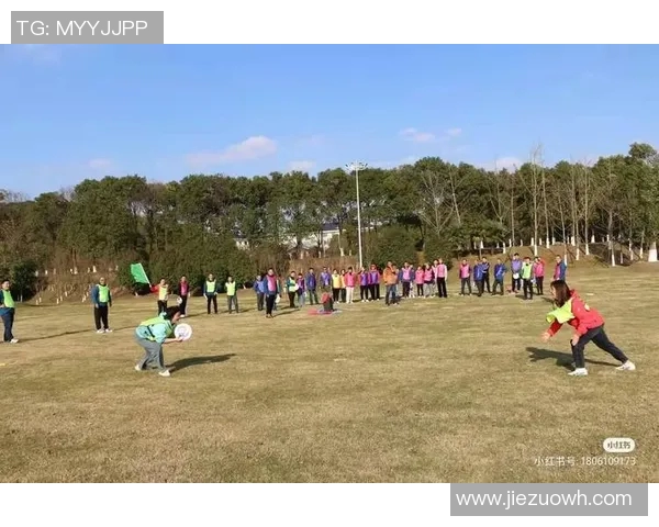 飞盘焦点：深入分析西安飞盘队的战术节奏与团队协作